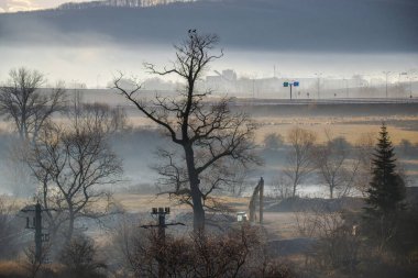 Sabahın erken saatlerinde kırsal, doğa ve manzarada sis