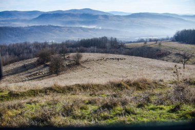 Sabahın erken saatlerinde kırsal kesimde, doğa ve dağ manzarası