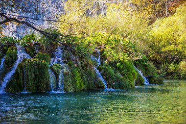 Tropikal doğa, akan şelale 