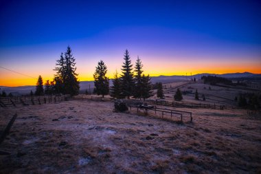Gün batımı gökyüzü çam ağaçlarıyla dağlarda