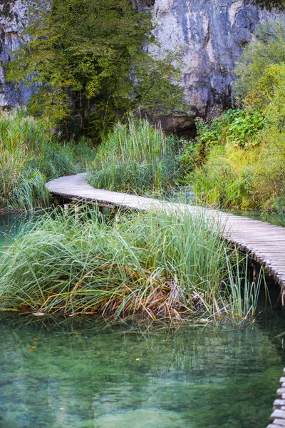 Jezero Vody Lesích Dřevěný Most Prkna Silnice — Stock fotografie