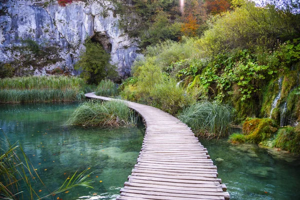 Jezero Vody Lesích Dřevěný Most Prkna Silnice — Stock fotografie