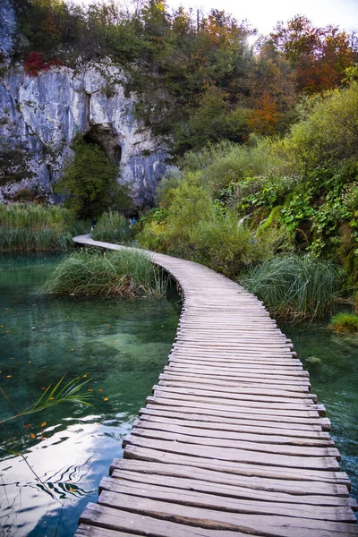 Jezero Vody Lesích Dřevěný Most Prkna Silnice — Stock fotografie