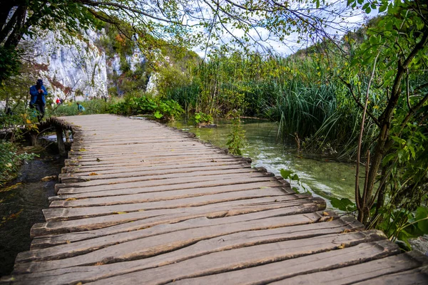 Park Lake Path Road — Stock Photo, Image