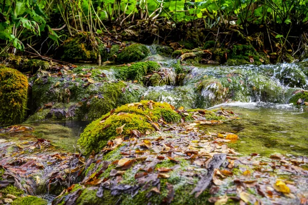 Fluss Wasser Fließen Sommer Natur — Stockfoto