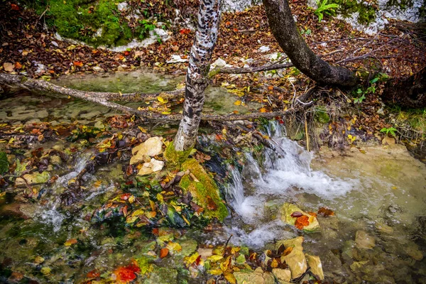 Fiume Nella Foresta Vapore Acqueo Flusso — Foto Stock