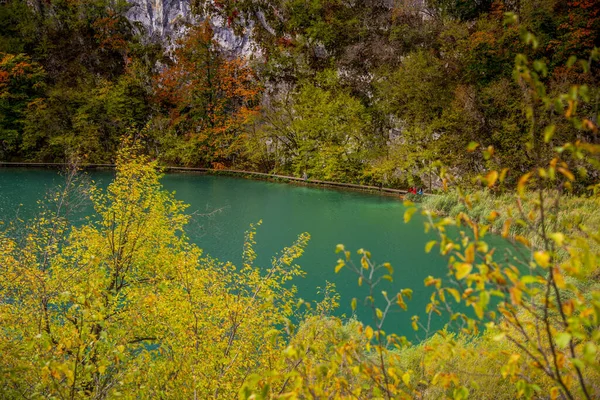 Lago Foresta Ambiente Parco Nazionale Con Alberi — Foto Stock