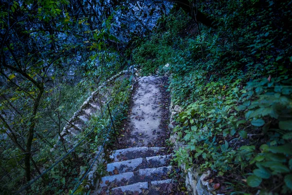 Stentrappor Park Skog Och Träd — Stockfoto