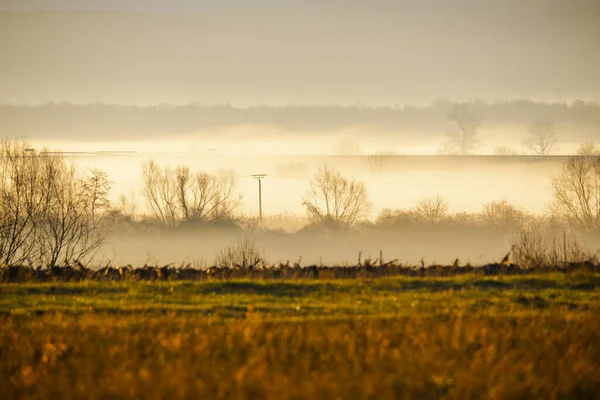 Brouillard Tôt Matin Dans Campagne Nature Paysage — Photo