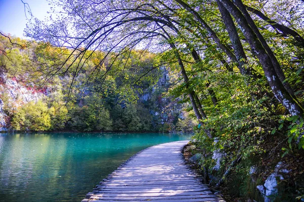 湖のある森の中の木道 — ストック写真