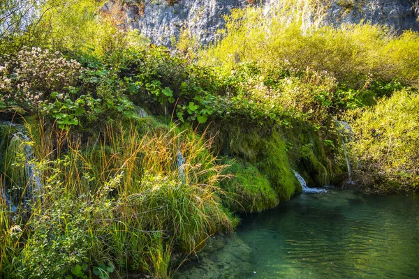 Водопад Водопад Природе — стоковое фото