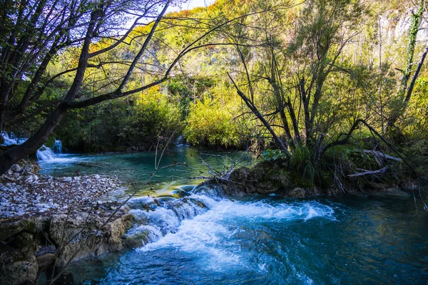 river flow in forest, nature