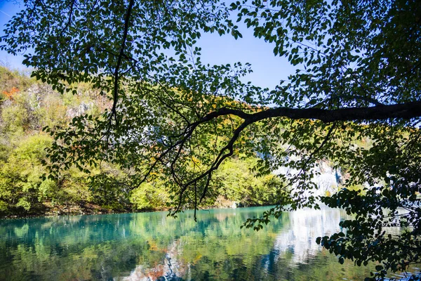 Ormandaki Gölün Manzarası — Stok fotoğraf