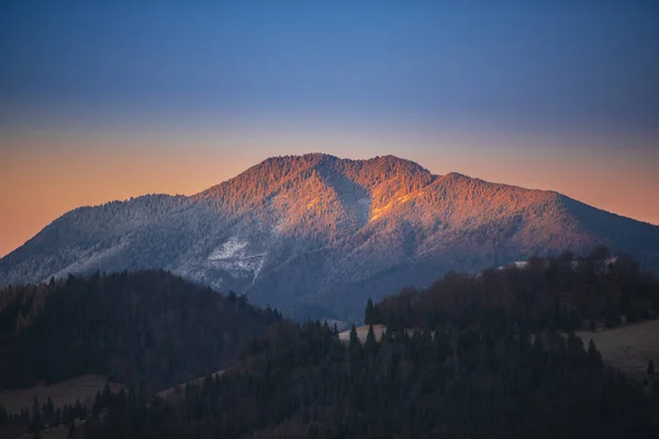 Majestuoso Cielo Atardecer Montañas Con Pinos Imagen de stock