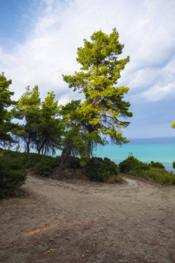 Deniz manzarası, bulutlu gökyüzü ve ağaçlar