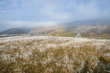 Soğuk kış dağları manzara ve tepeler 