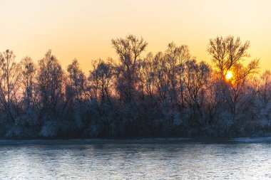 Gün batımında huzurlu manzara ve ormandaki göl