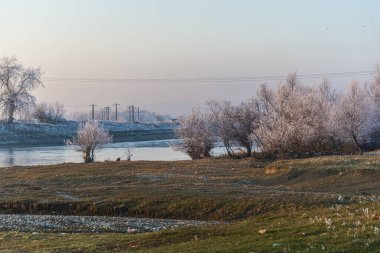 Ormandaki gölün huzurlu manzarası, doğadaki kış.