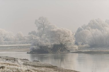 Ormandaki gölün huzurlu manzarası, doğadaki kış.