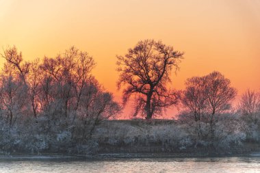 Gün batımı gökyüzü, donmuş ağaçlar ve göl, kış sabahı erken ayaz