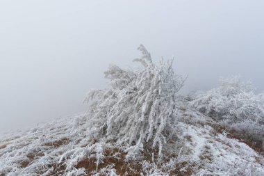 Serin hava, kışın kırsal alan
