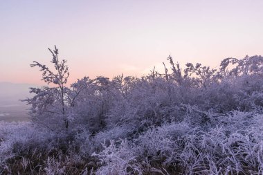 Serin hava, kışın kırsal alan