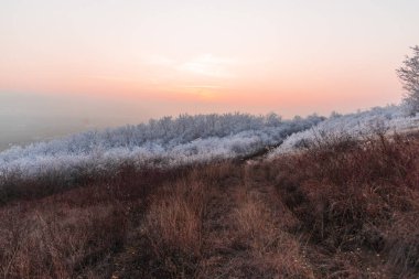 Serin hava, kuru çimenli kış manzarası.
