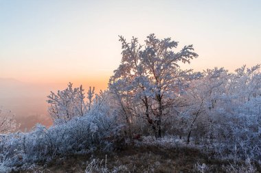 Serin hava, kışın kırsal alan