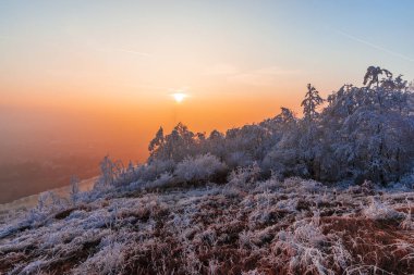 Günbatımı gökyüzü ve kışın kırsal alanda buzlu çimenler 