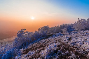 Günbatımı gökyüzü ve kışın kırsal alanda buzlu çimenler 