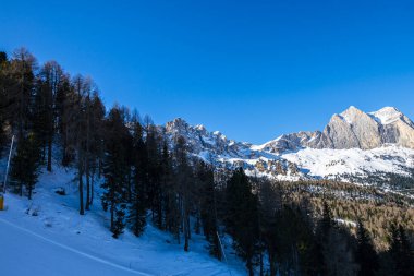 Manzaralı kayalık dağlar ve orman ağaçları