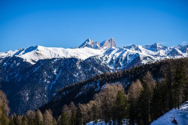 Manzaralı kayalık dağlar ve orman ağaçları