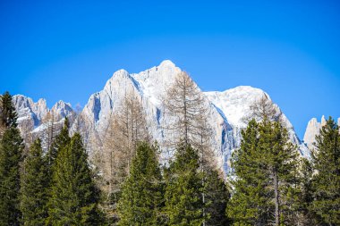 Kayalık dağlar, ağaçlar ve mavi gökyüzü