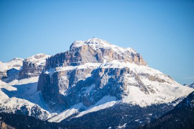 Manzaralı kayalık dağlar ve orman ağaçları