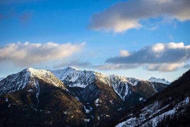 Manzaralı kayalık dağlar ve orman ağaçları