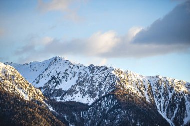 Manzaralı kayalık dağlar ve orman ağaçları