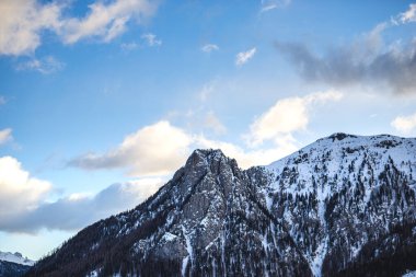 Manzaralı kayalık dağlar ve orman ağaçları