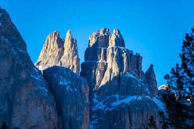 Manzaralı kayalık dağlar ve orman ağaçları