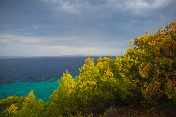 Yaz Mevsiminde Doğa Deniz Manzarası — Stok fotoğraf