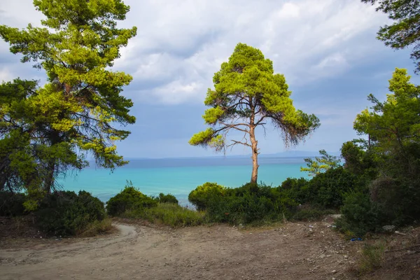 Deniz Manzarası Bulutlu Gökyüzü Ağaçlar — Stok fotoğraf