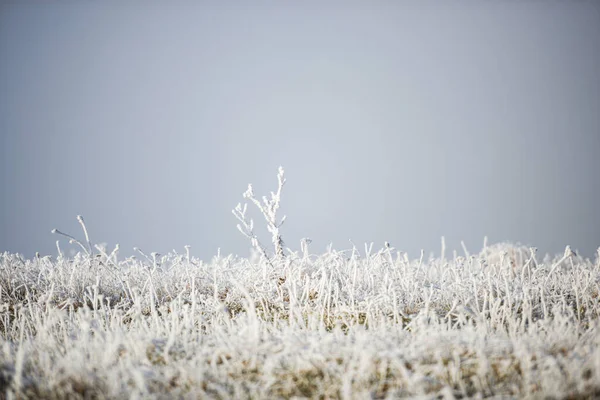 Bevroren Gras Winter Landschap Heuvels — Stockfoto