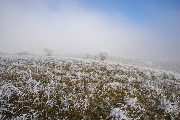 Kışın Kırsal Arazi Tepelerinde Buzlu Çimenler — Stok fotoğraf