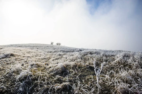 Herbe Givrée Hiver Campagne Paysage Collines — Photo