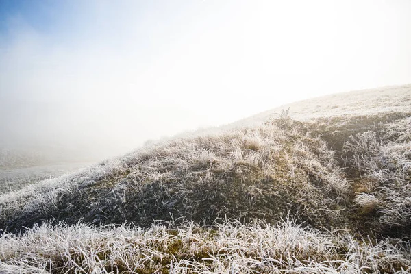 Mroźna Trawa Zimie Krajobraz Wzgórza — Zdjęcie stockowe