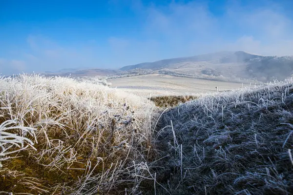 Frostat Gräs Vintern Landskap Kullar — Stockfoto