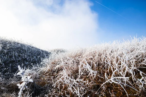 Mroźna Trawa Zimie Krajobraz Wzgórza — Zdjęcie stockowe