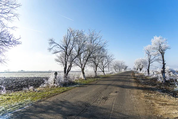 asphalt road in village, frosty weather in countryside