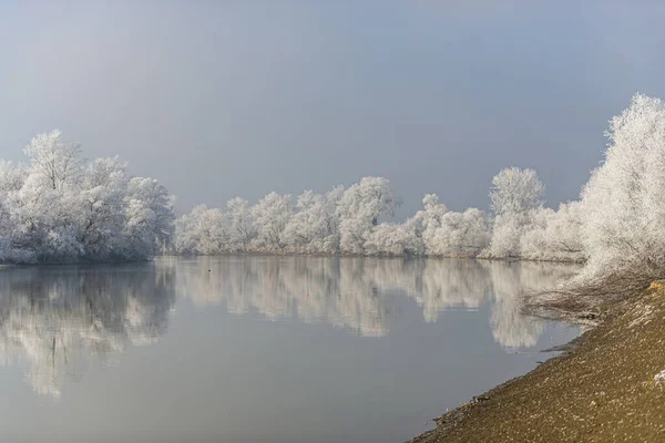 Peaceful Scenic View Lake Forest Winter Nature — Stock Photo, Image