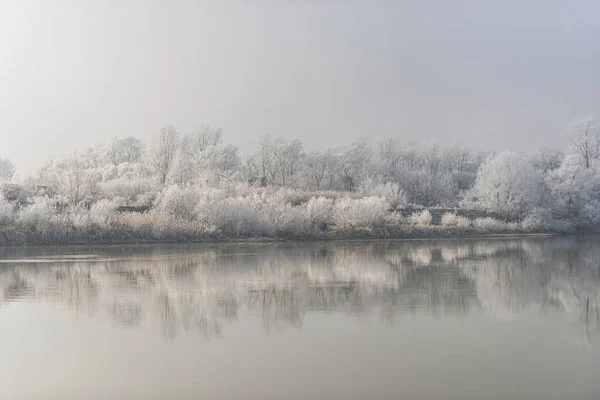 Peaceful Scenic View Lake Forest Winter Nature — Stock Photo, Image