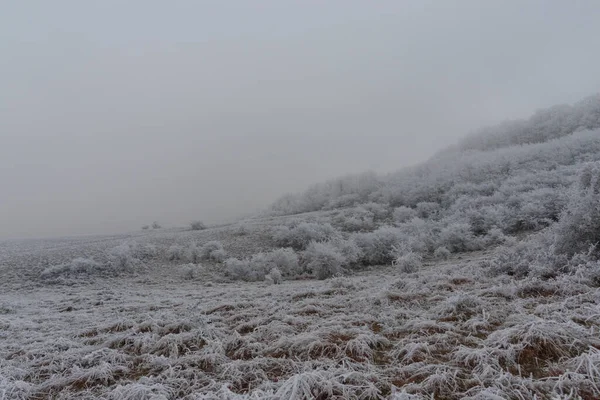 Χειμώνας Νωρίς Πρωί Hoarfrost Στην Ύπαιθρο Κατεψυγμένα — Φωτογραφία Αρχείου